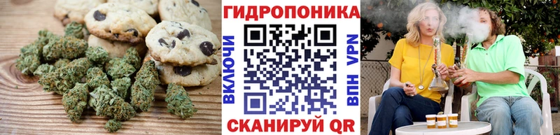 Cannafood конопля  Купить где  Олонец 