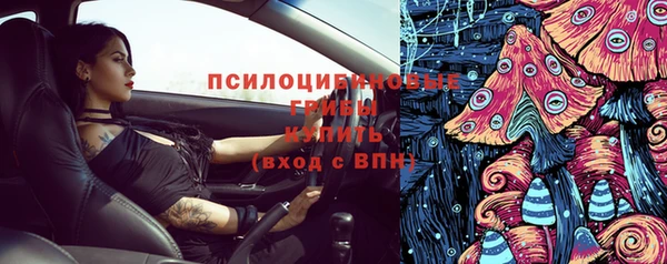 прущая мука Инсар