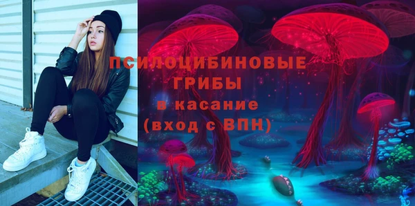 прущая мука Инсар